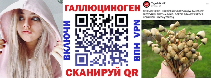 mega ССЫЛКА  где продают наркотики  Учалы  Псилоцибиновые грибы ЛСД 